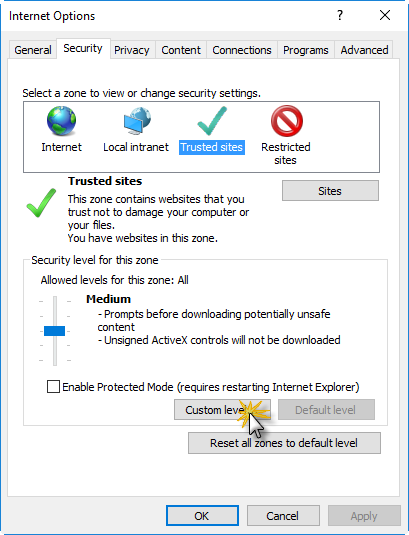 Internet_Options_Custom level